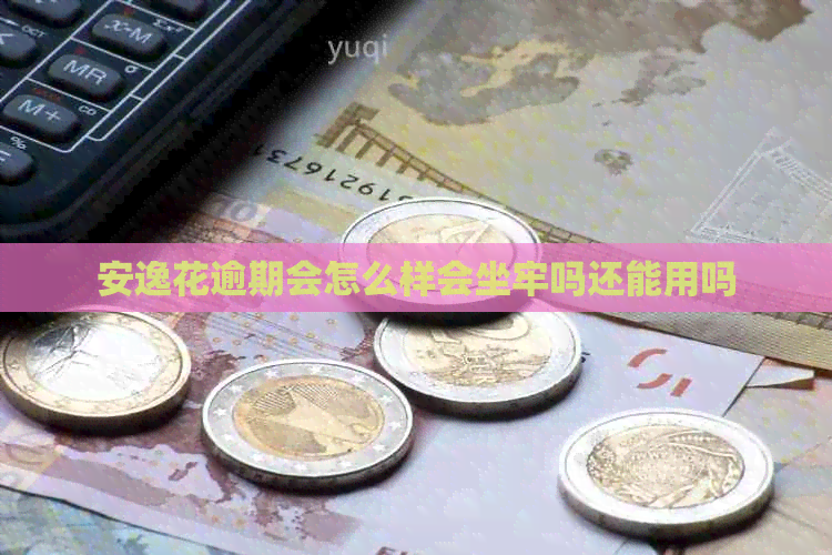 安逸花逾期会怎么样会坐牢吗还能用吗
