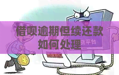 网贷逾期但续还款如何处理