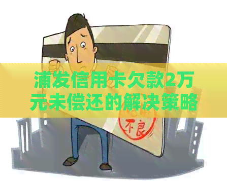 浦发信用卡欠款2万元未偿还的解决策略与建议