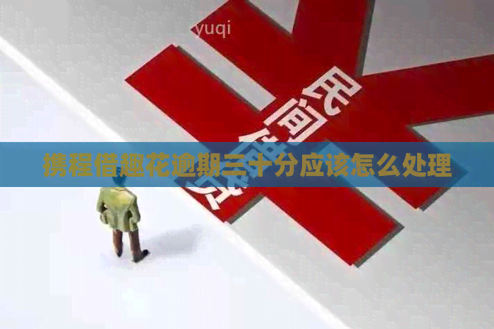 携程借趣花逾期三十分应该怎么处理