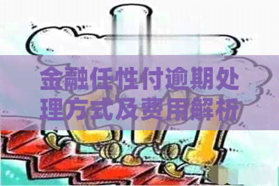 金融任性付逾期处理方式及费用解析