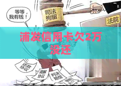 浦发信用卡欠2万没还