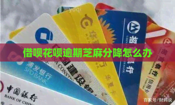 网贷信用卡逾期芝麻分降怎么办