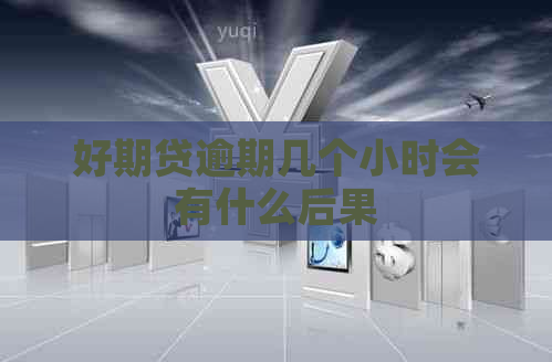 好期贷逾期几个小时会有什么后果