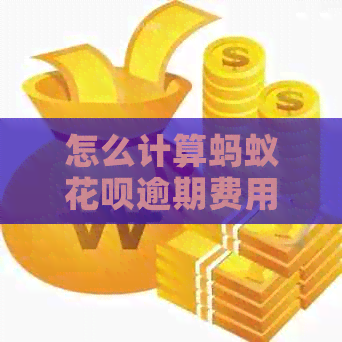 怎么计算蚂蚁信用卡逾期费用
