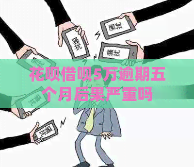 信用卡网贷5万逾期五个月后果严重吗