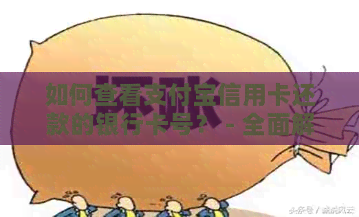 如何查看支付宝信用卡还款的银行卡号？ - 全面解析与步骤详解