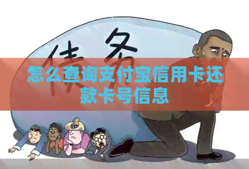 怎么查询支付宝信用卡还款卡号信息