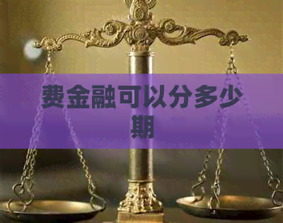 费金融可以分多少期