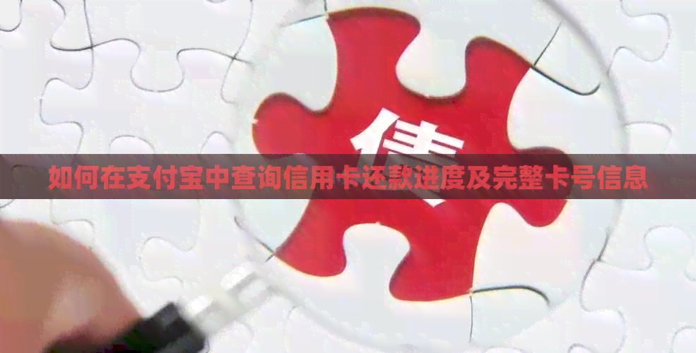 如何在支付宝中查询信用卡还款进度及完整卡号信息
