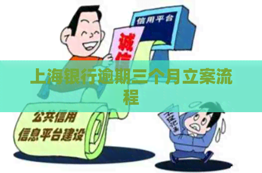 上海银行逾期三个月立案流程