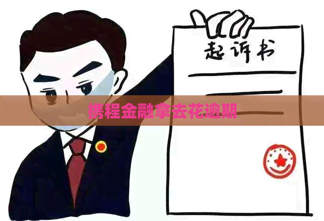 携程金融拿去花逾期