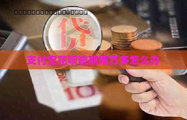 支付宝信用卡逾期两万多怎么办