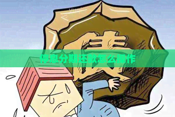 停息分期还款怎么操作 停息分期还款怎么操作
