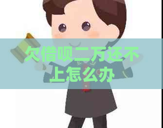 欠网贷二万还不上怎么办 欠网贷二万还不上怎么办