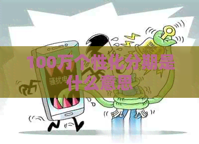 100万个性化分期是什么意思