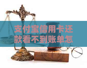 支付宝信用卡还款看不到账单怎么办？