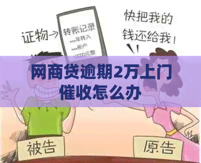 网贷逾期2万上门怎么办