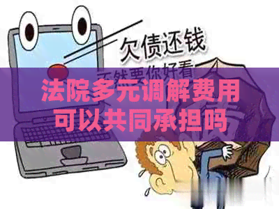 法院多元调解费用可以共同承担吗