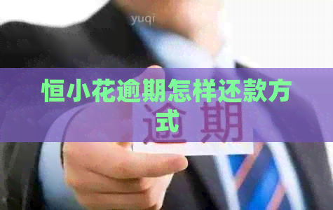 恒小花逾期怎样还款方式