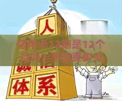 信用卡12期是12个月吗？手续费多少？怎么算？