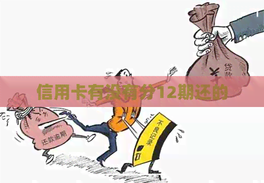 信用卡有没有分12期还的
