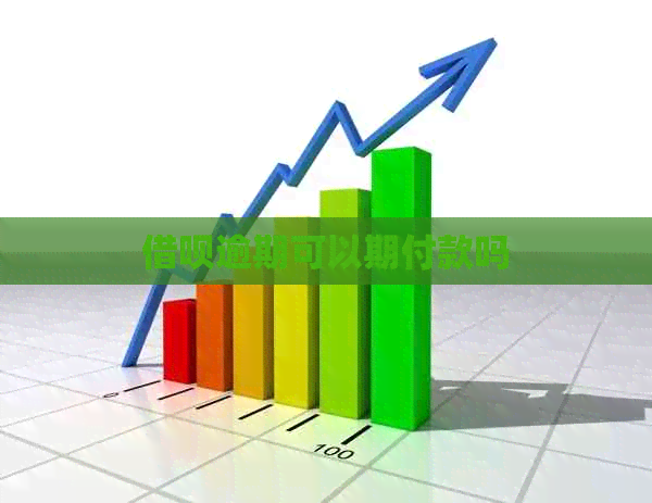 网贷逾期可以期付款吗