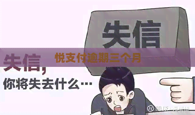 悦支付逾期三个月