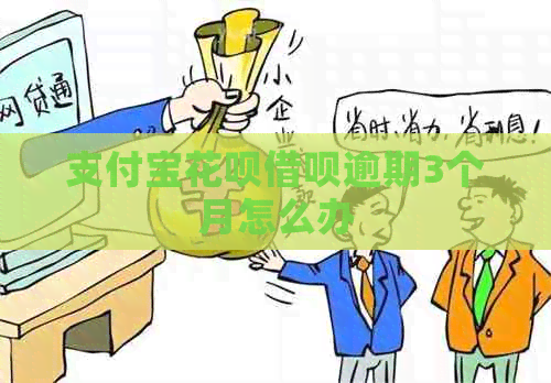支付宝信用卡网贷逾期3个月怎么办