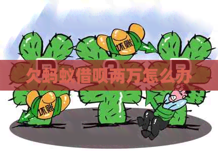 欠蚂蚁网贷两万怎么办 欠蚂蚁网贷两万怎么办