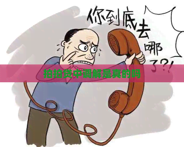 中调解是真的吗