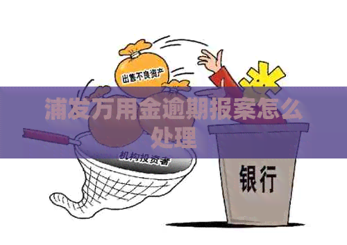 浦发万用金逾期报案怎么处理 浦发万用金逾期报案怎么处理