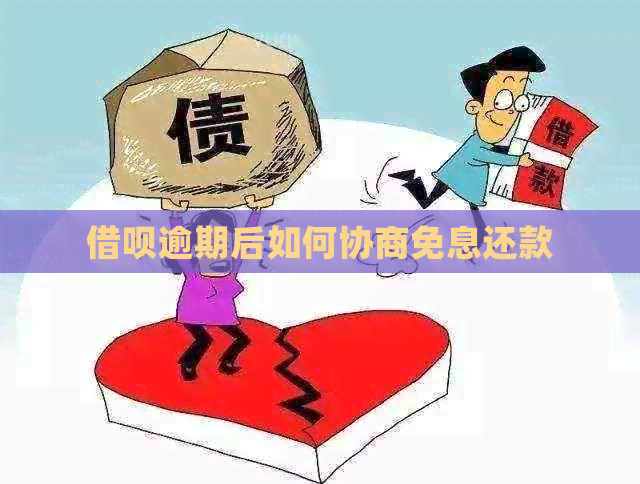 网贷逾期后如何协商免息还款