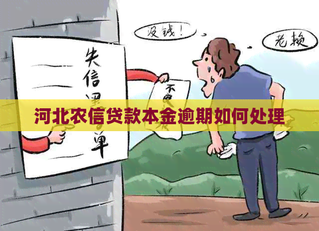 河北农信贷款本金逾期如何处理