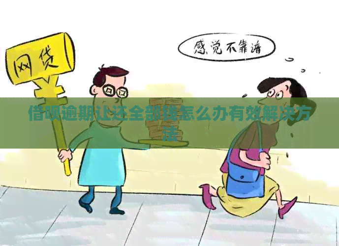 网贷逾期让还全部钱怎么办有效解决方法