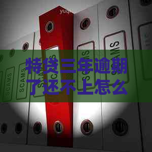 特贷三年逾期了还不上怎么办如何解决
