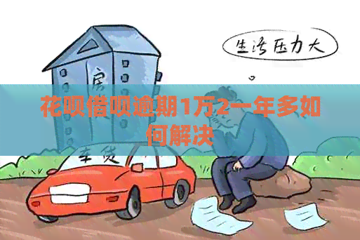 信用卡网贷逾期1万2一年多如何解决