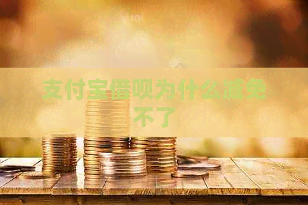 支付宝网贷为什么减免不了