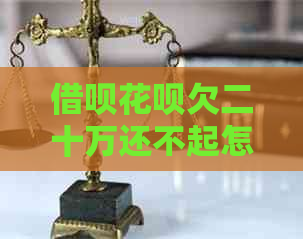 网贷信用卡欠二十万还不起怎么办