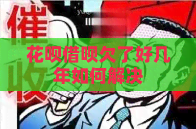 信用卡网贷欠了好几年如何解决