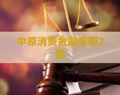 中原消费金融逾期2期