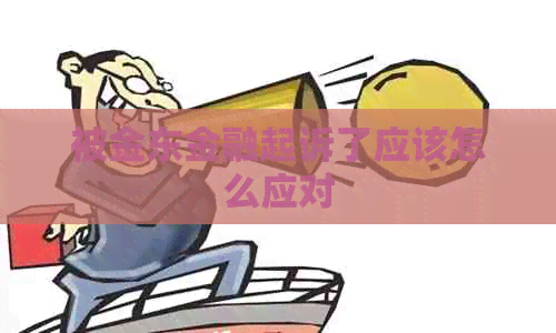 被金东金融起诉了应该怎么应对