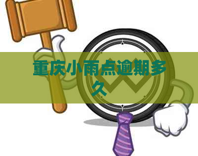 重庆小雨点逾期多久