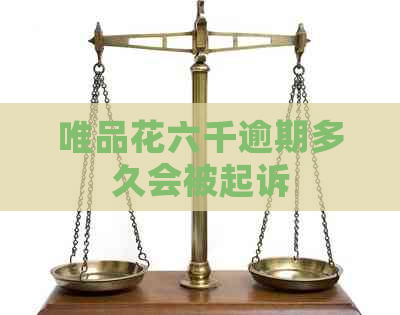 唯品花六千逾期多久会被起诉