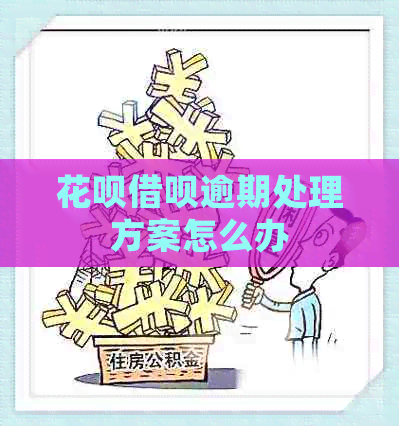 信用卡网贷逾期处理方案怎么办