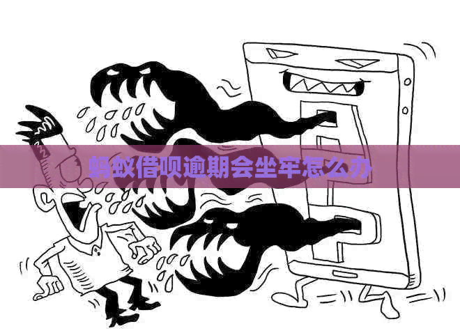 蚂蚁网贷逾期会坐牢怎么办