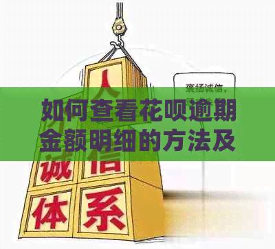 如何查看信用卡逾期金额明细的方法及步骤