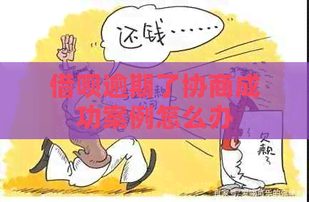 网贷逾期了协商成功案例怎么办