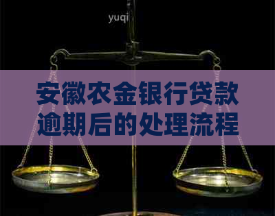 安徽农金银行贷款逾期后的处理流程及注意事项