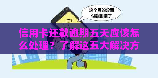 信用卡还款逾期五天应该怎么处理？了解这五大解决方法，避免影响信用！